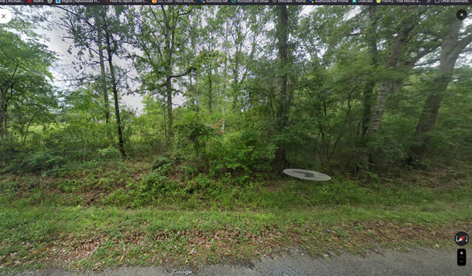 Unrestricted 1/2 Acre for Sale-Poplarville